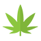 Marijuana in Silverdale, Washington 