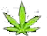 Recreational Cannabis 