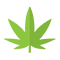 Medical/Recreational Cannabis 